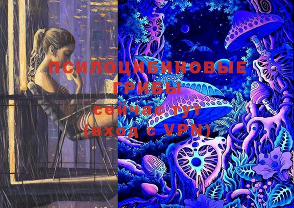 стафф Дмитров