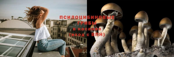 ALPHA PVP Дмитровск