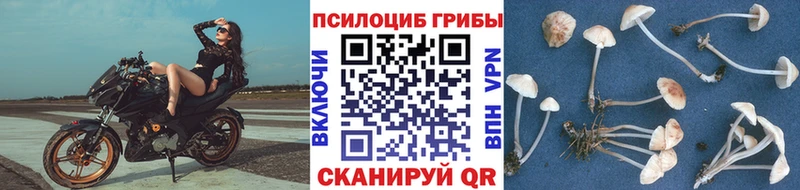 Галлюциногенные грибы мухоморы  Купить где  Новоульяновск 